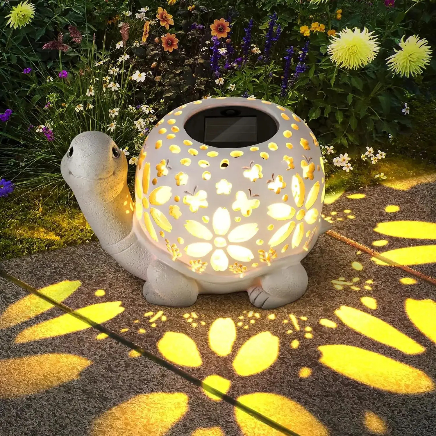 Aurinkokilpikonnan valo