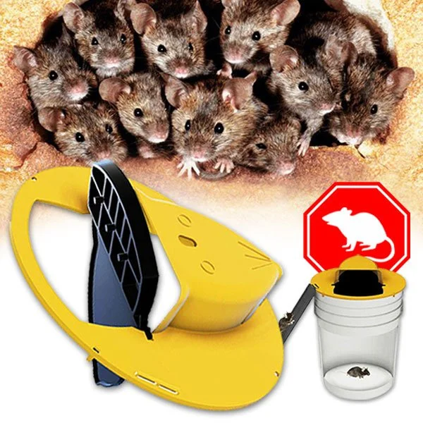 Musefelle