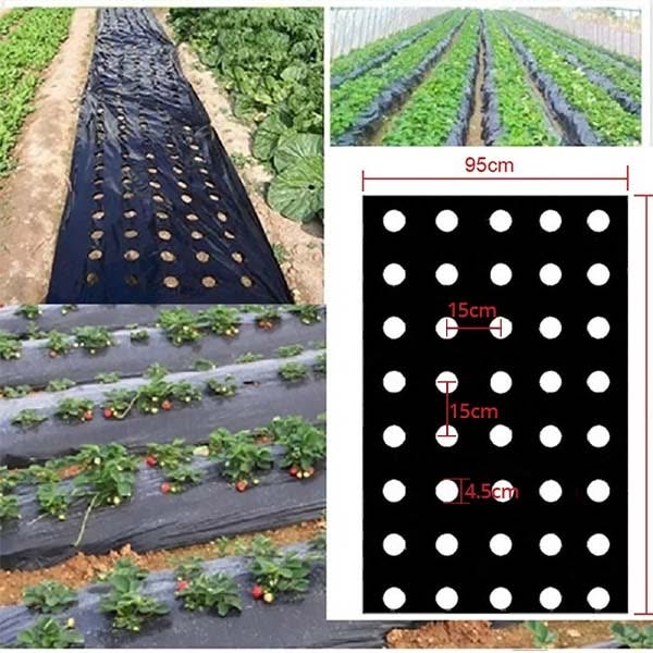 Plantedekke