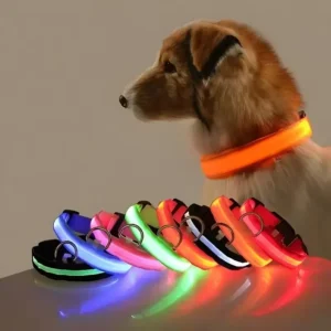 LED-hundhalsband