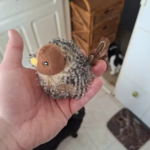 Cat toy with bird sounds photo review