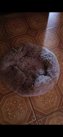 Round pet beds photo review