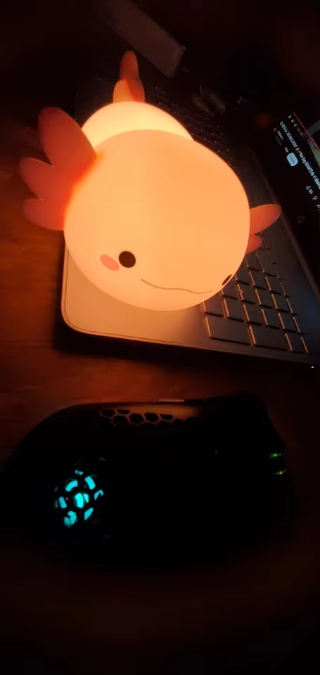 Silicone night light photo review