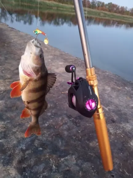 Telescopic fishing rod photo review