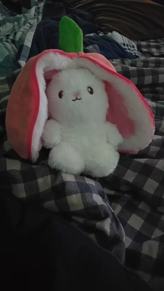 Reversible plush doll toy photo review