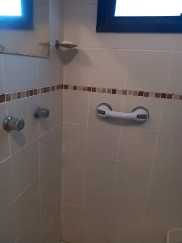 Suction grab bar photo review