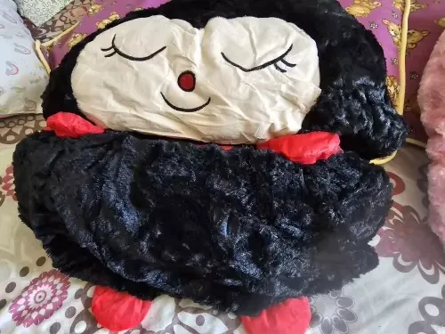 Kids cartoon sleeping bag photo review