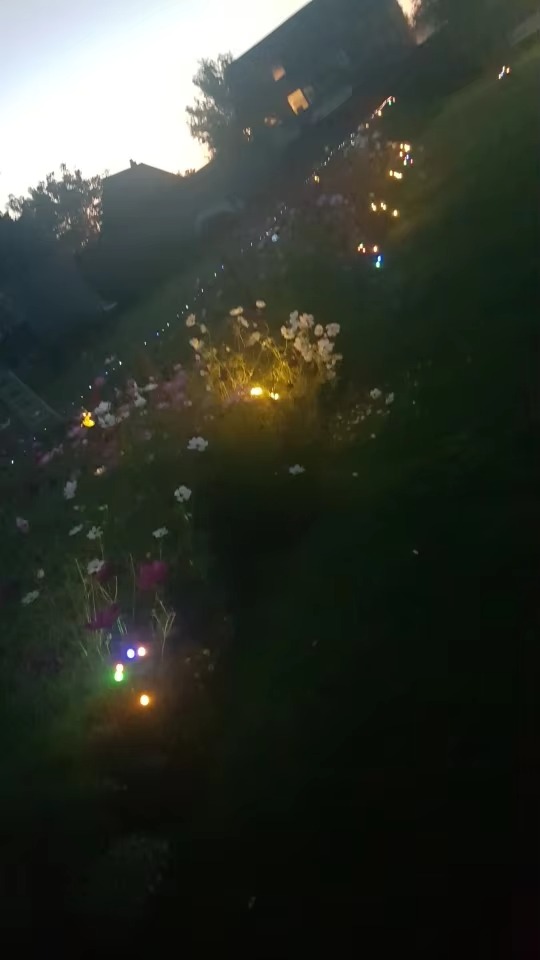 Solar firefly lights photo review