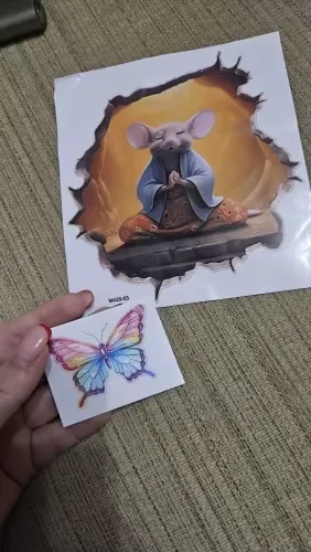 Mouse hole decals photo review