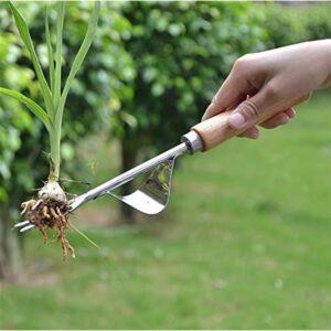Stainless steel weeder