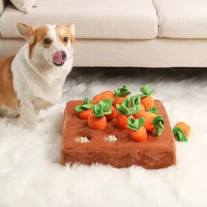 Carrot dog toy