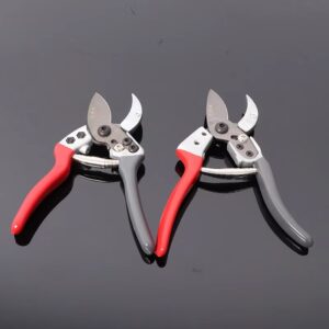 Pruning shears tool