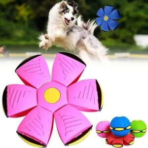 Bouncing ball dog toy