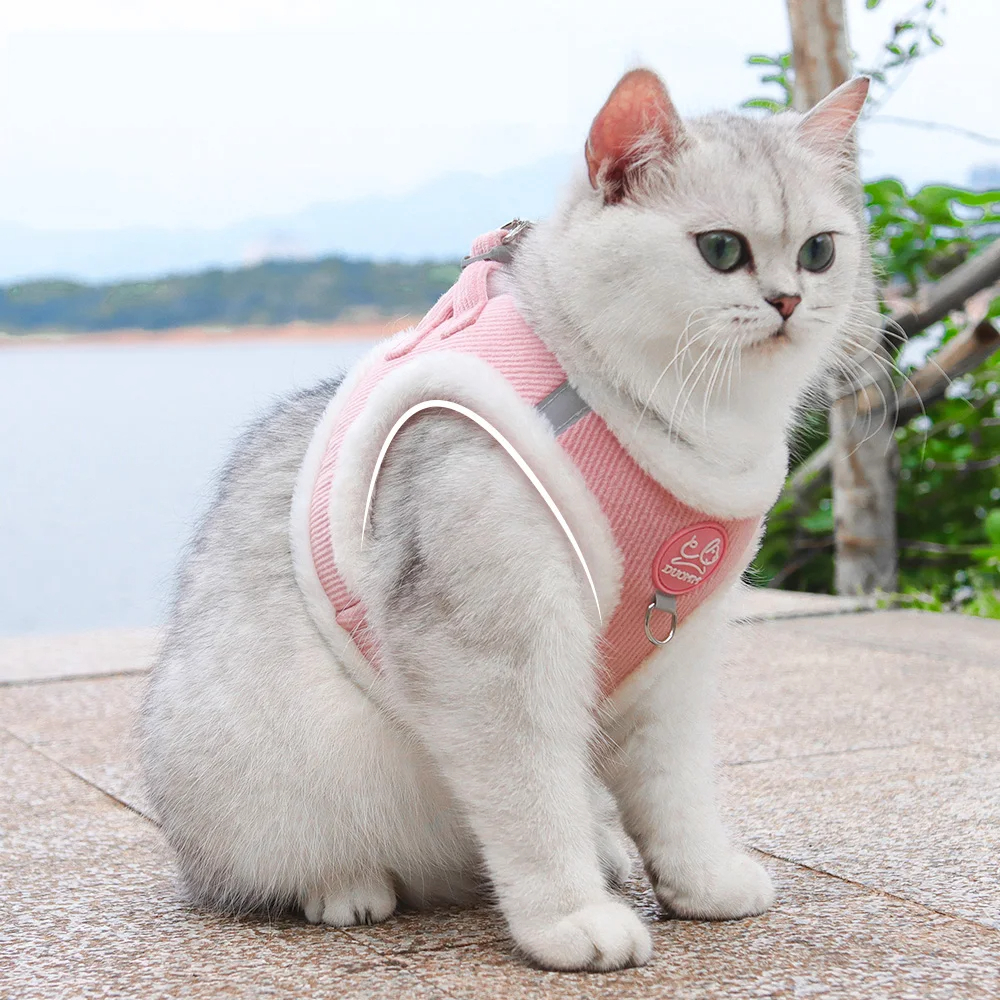 Cat leash harness set