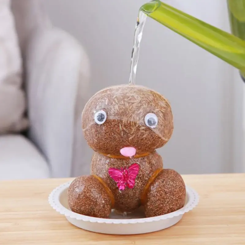 Plant toy
