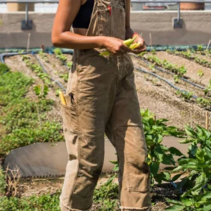 Women's canvas dungarees