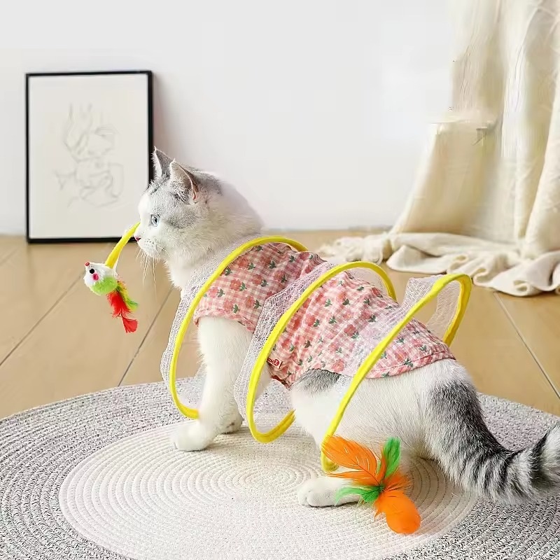 Cat tunnel