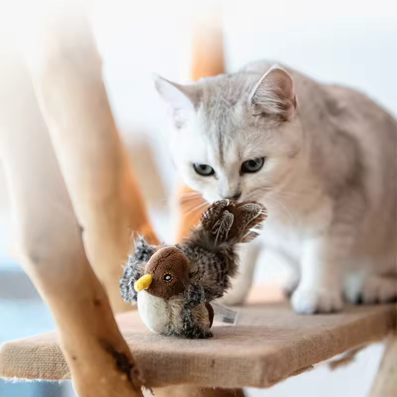 Interactive cat toy
