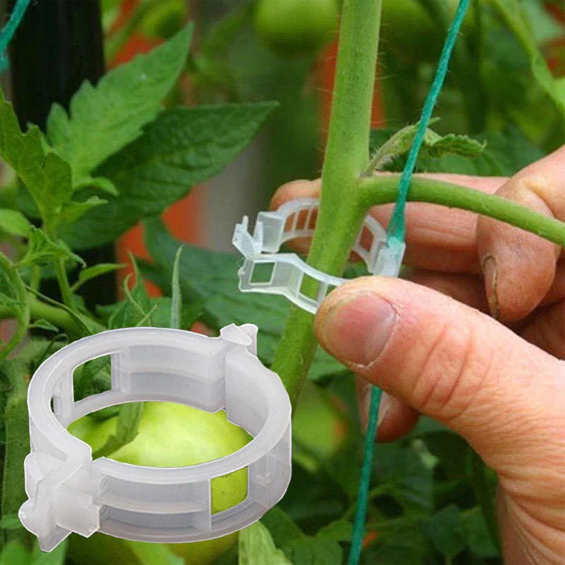 Plant support clips