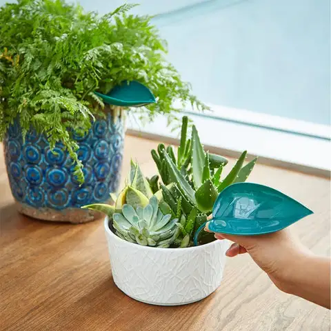 Watering tool