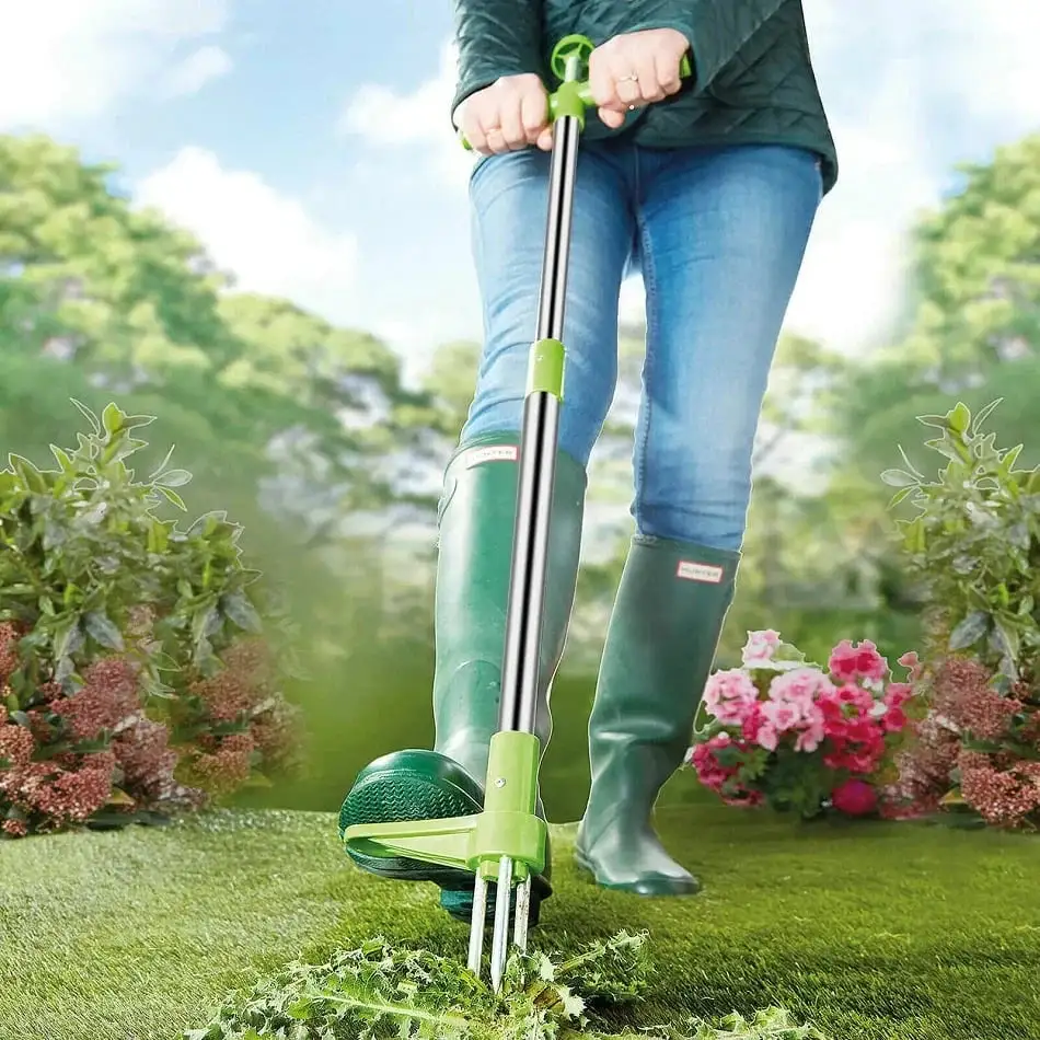 Weed removal tool
