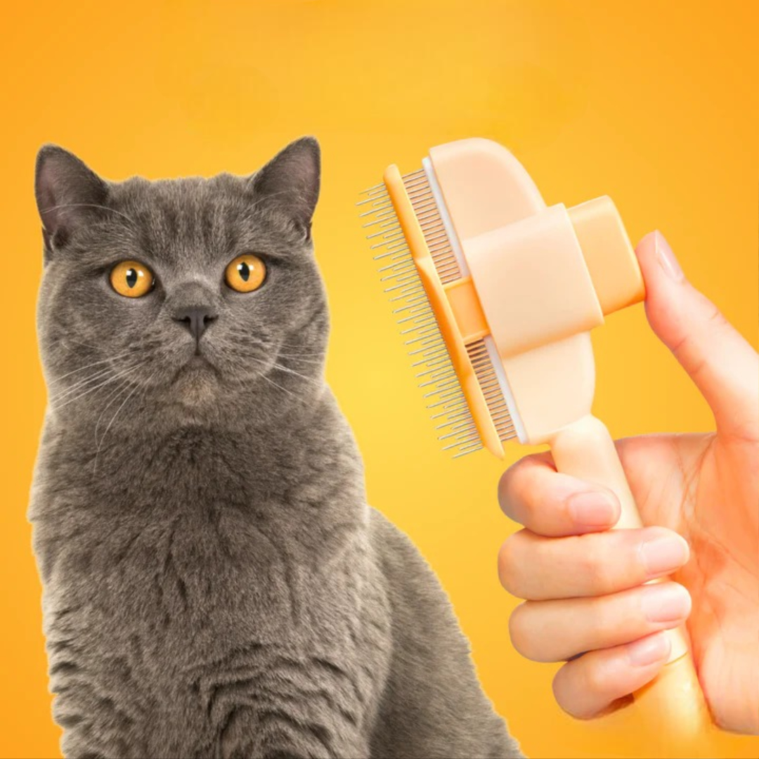 Pet's hair brush