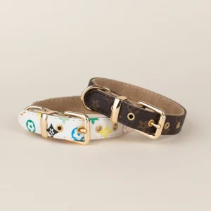 Dog collar