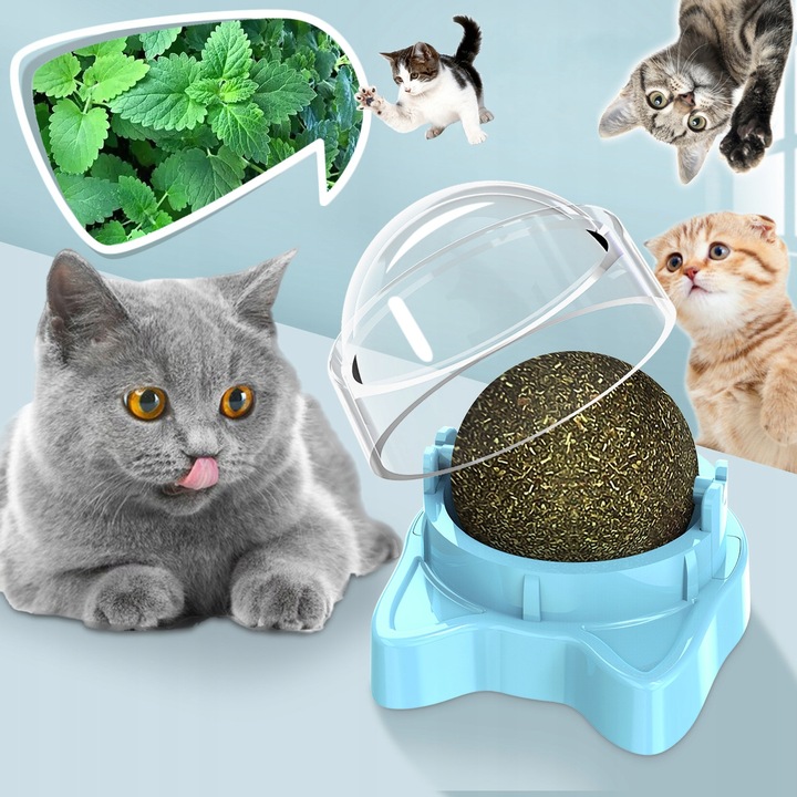 Cat toy