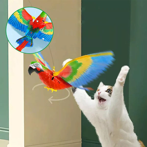Cat toy
