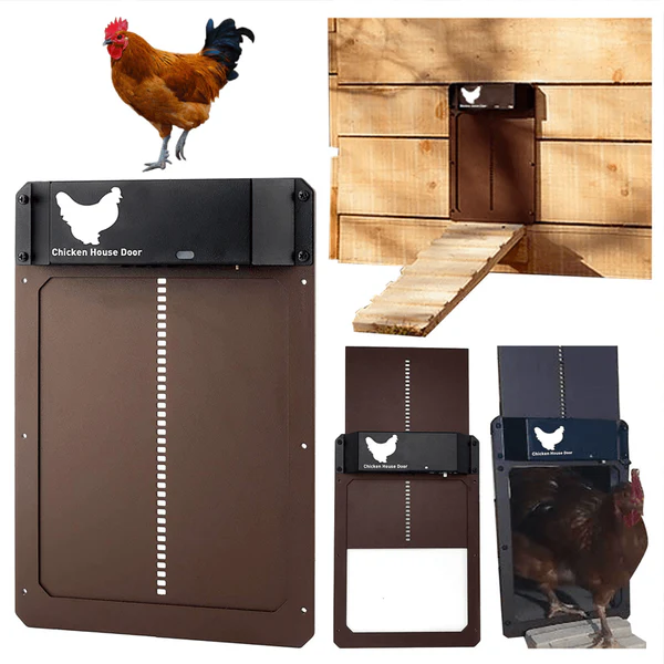 Automatic chicken door