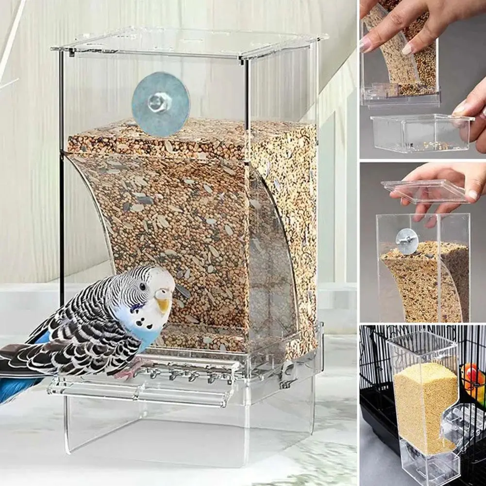 Automatic bird feeder