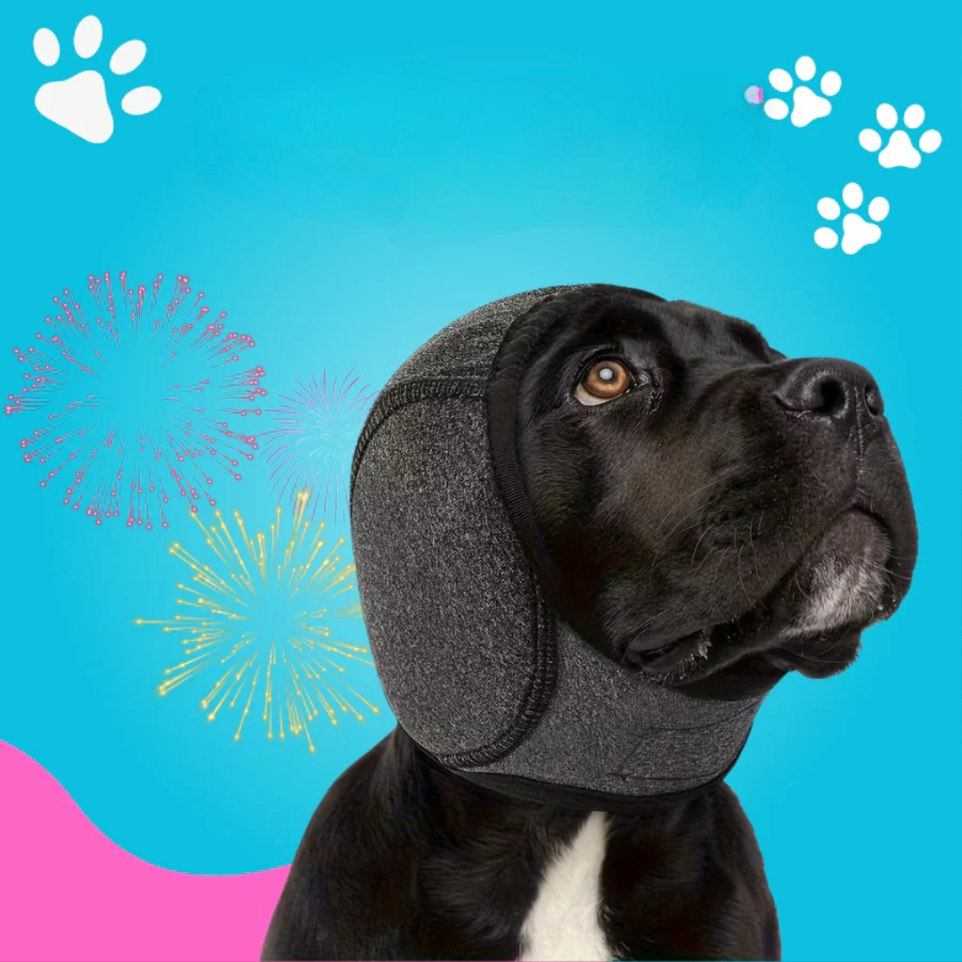 Dog ear protection against loud noises