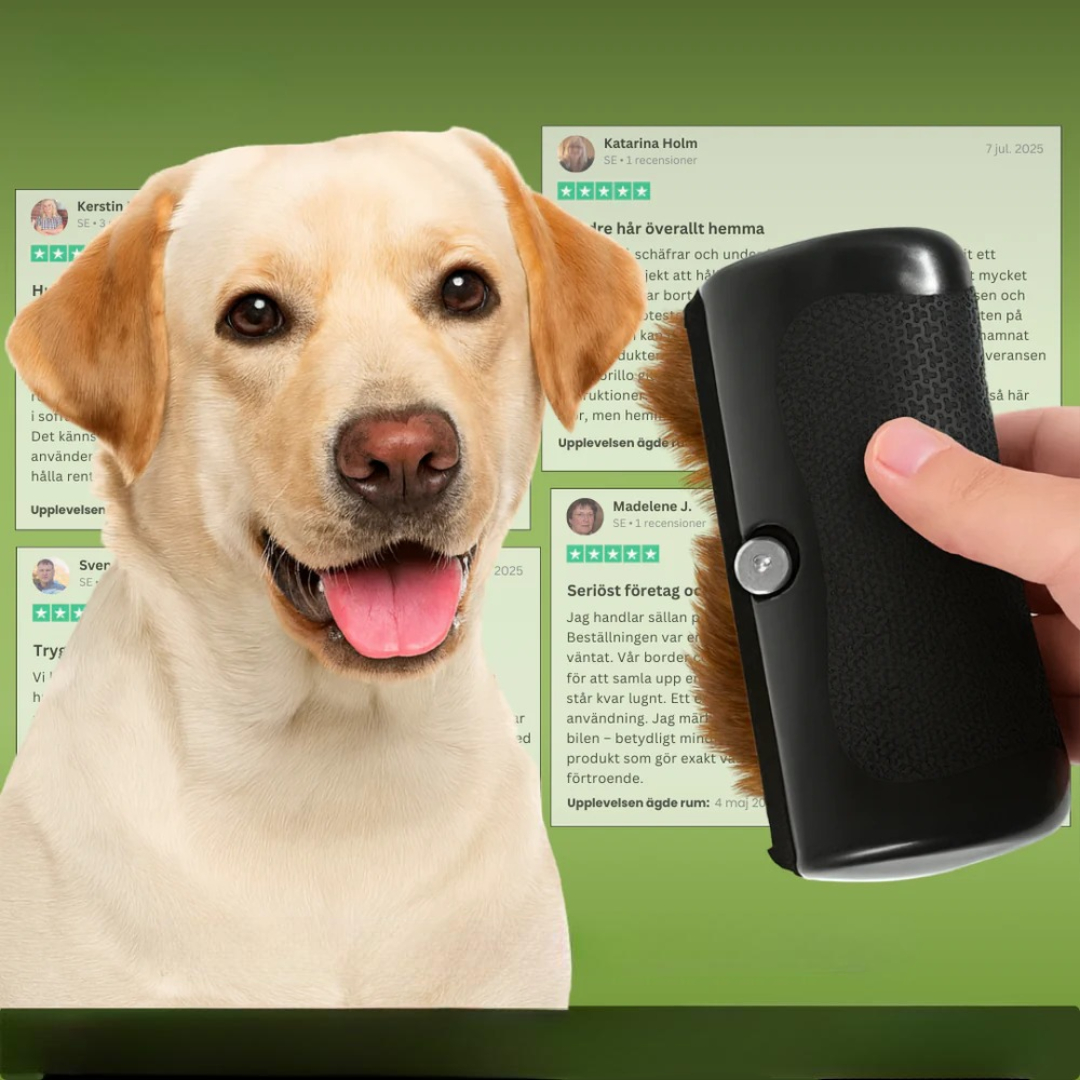 Dog brush