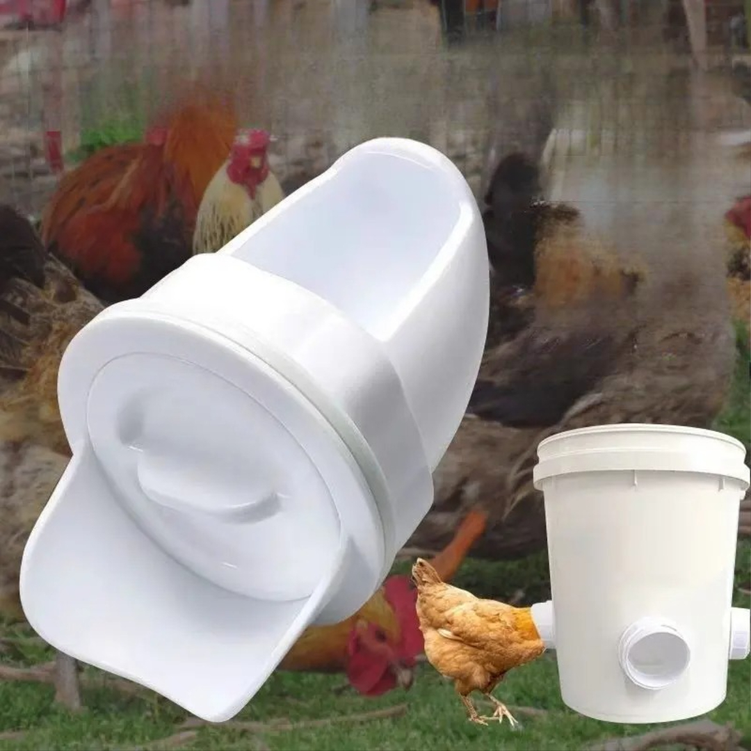 Automatic feeder for chicks, ducks, and geese