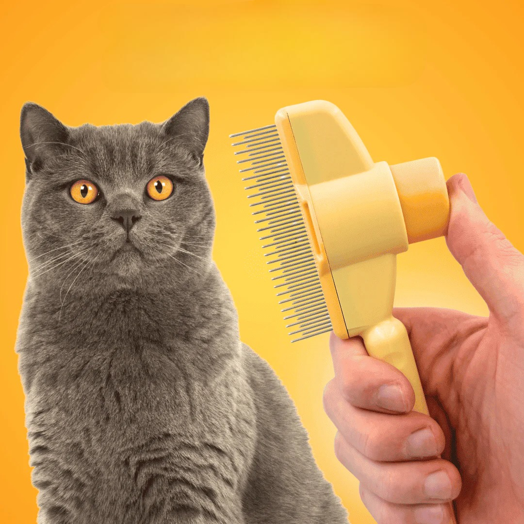 Gliding cat brush